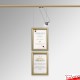 Certificate Frame Display Kit - Diploma Frame, Picture Rail & Lighting (Complete Hanging System)