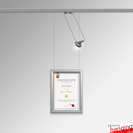 Certificate Frame Display Kit - Diploma Frame, Picture Rail & Lighting (Complete Hanging System)