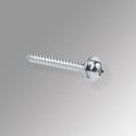 Mini-rail Mounting Screw