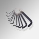 Hex / Allen Key Set & Keyring (10pc)