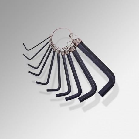 Hex / Allen Key Set & Keyring (10pc)