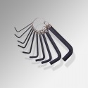 Hex / Allen Key Set & Keyring (10pc)