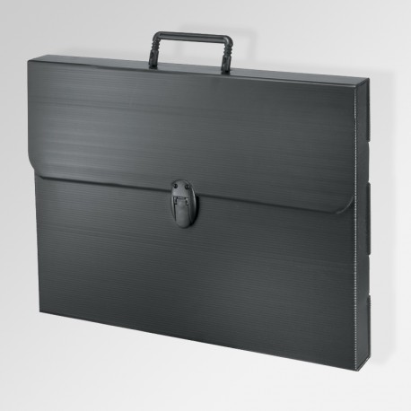 'Polylite' Artwork Case, Black