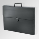 'Polylite' Artwork Case
