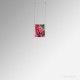 A5 Ready-Made Ceiling Cable Display Kits - Acrylic Pockets & All Fittings for Ceiling-Mounting, Complete System