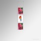 A5 Ready-Made Ceiling Cable Display Kits - Acrylic Pockets & All Fittings for Ceiling-Mounting, Complete System