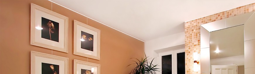 P Rail (Heavy Duty) Hanging System